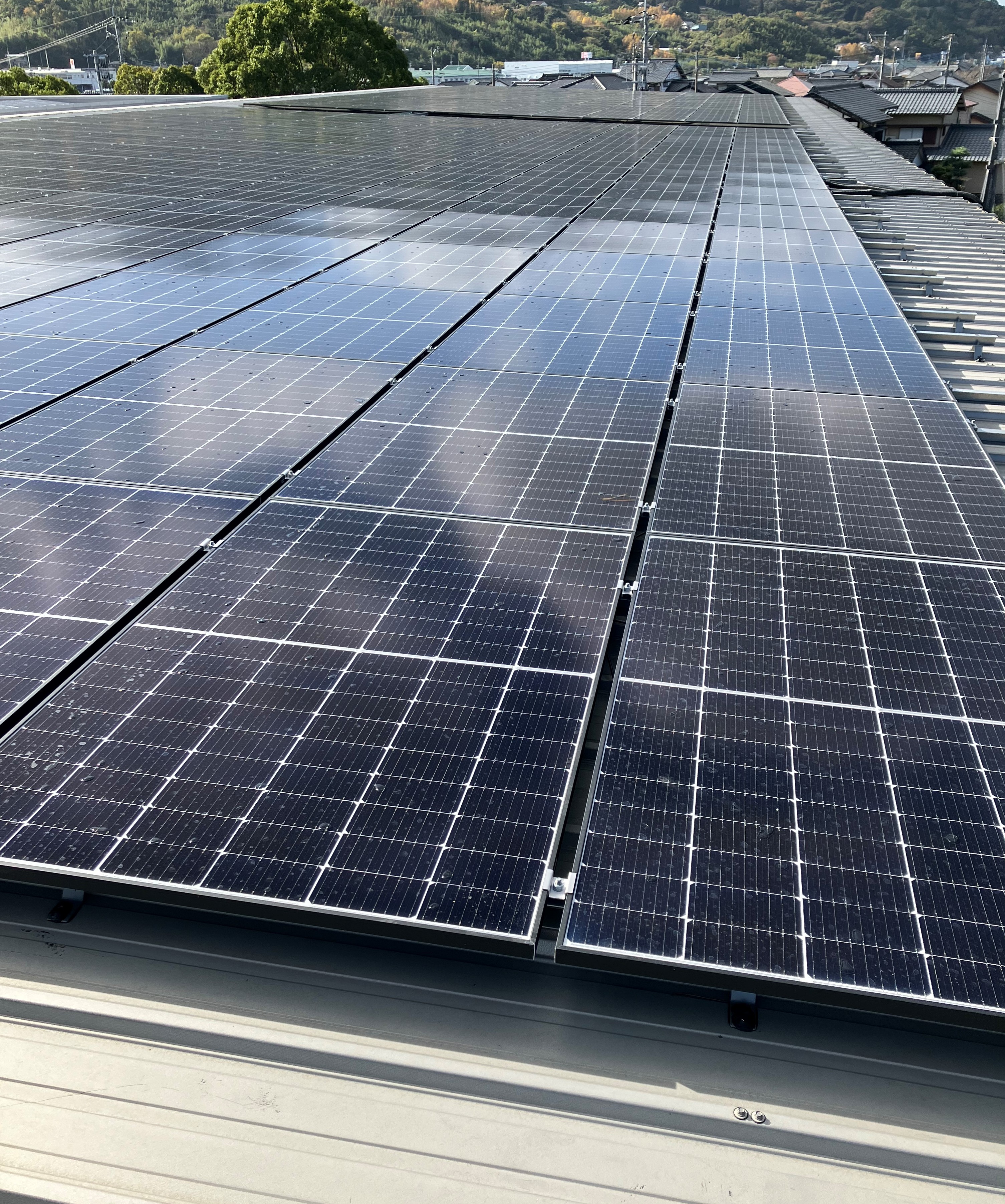 太陽光パネル①
